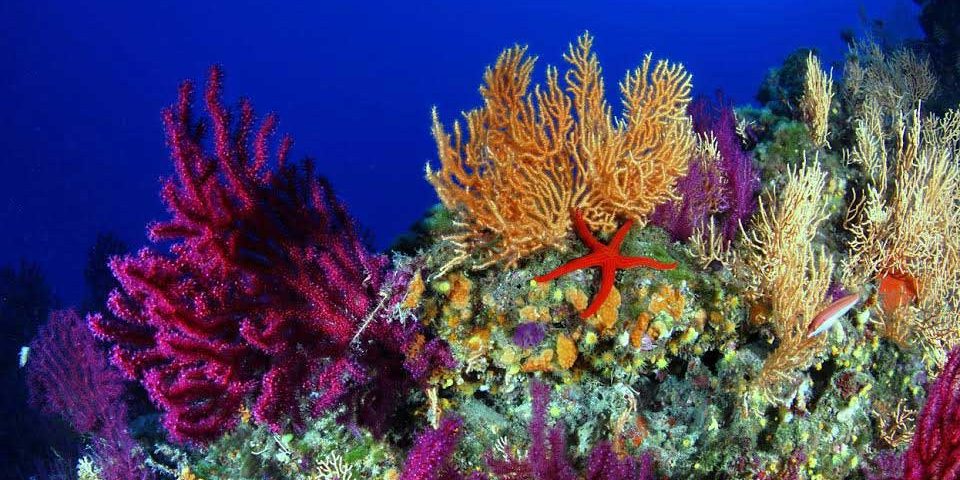 Secche di Tor Paterno